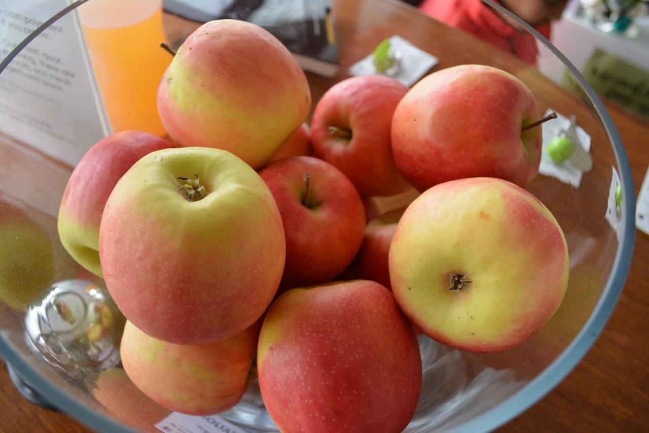The Apple Inn Batlow Εξωτερικό φωτογραφία